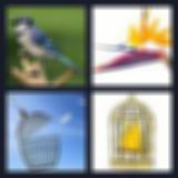 Level 12 Answer 23 - the birdcage