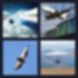 Level 18 Answer 5 - flight