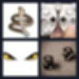 Level 22 Answer 8 - snake eyes