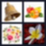 Level 22 Answer 9 - bellflower