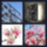 Level 32 Answer 16 - steel magnolias