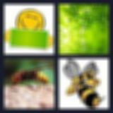Level 35 Answer 12 - the green hornet