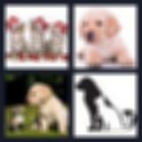 Level 38 Answer 1 - cats dogs