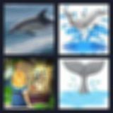 Level 39 Answer 1 - dolphin tale