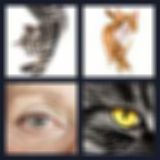 Level 39 Answer 3 - cat’s eye
