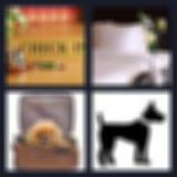 Level 44 Answer 6 - hotel for dogs
