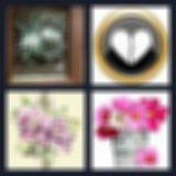 Level 51 Answer 6 - broken flowers