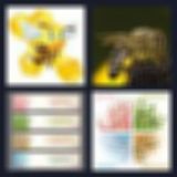 Level 64 Answer 13 - bee season