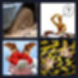 Level 64 Answer 16 - stuck