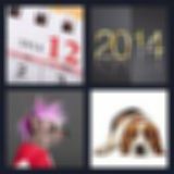 Level 72 Answer 14 - year of the dog