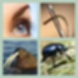 Level 10 Answer 18 - I Am The Walrus