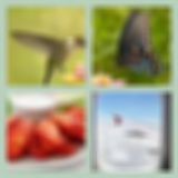 Level 10 Answer 24 - Little Wing