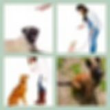 Level 15 Answer 19 - Stay