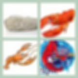 Level 18 Answer 7 - Rock Lobster