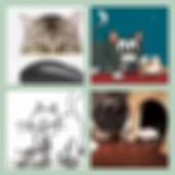 Level 23 Answer 4 - Cat And Mouse