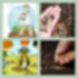 Level 23 Answer 9 - Planting Seeds