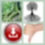 Level 25 Answer 16 - Root Down