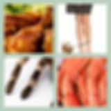 Level 27 Answer 25 - Legs