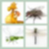 Level 28 Answer 9 - The Dragonfly