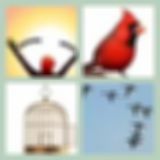 Level 2 Answer 1 - Free Bird