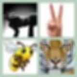 Level 2 Answer 14 - Born To Be Wild