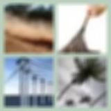 Level 2 Answer 4 - Dust In The Wind