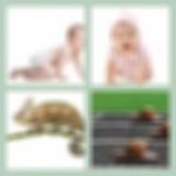 Level 32 Answer 12 - Crawling
