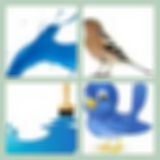 Level 37 Answer 8 - Bluebird