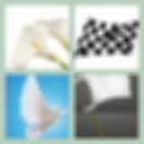 Level 38 Answer 13 - White Flag