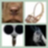 Level 38 Answer 7 - Muzzle
