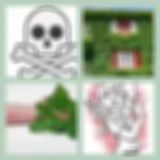 Level 39 Answer 4 - Poison Ivy