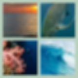 Level 39 Answer 5 - Oceans