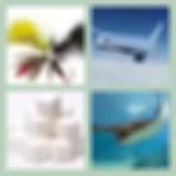 Level 3 Answer 1 - Fly