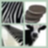 Level 3 Answer 3 - Black-Or-White