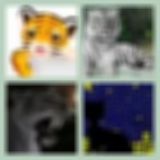 Level 40 Answer 6 - Tiger Nights