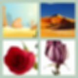 Level 42 Answer 14 - Desert Rose
