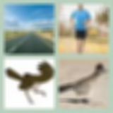 Level 44 Answer 10 - Roadrunner