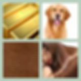 Level 44 Answer 12 - Golden Brown
