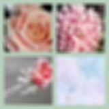 Level 44 Answer 5 - Pink Frost