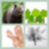 Level 47 Answer 11 - Bare Trees