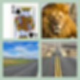 Level 47 Answer 6 - King Of The Road