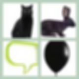Level 48 Answer 4 - Black Balloon