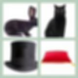 Level 48 Answer 6 - Black Velvet