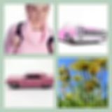 Level 4 Answer 6 - Pink Cadillac
