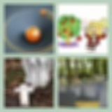Level 50 Answer 12 - Gravity Grave