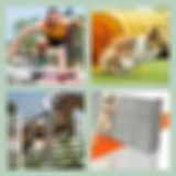 Level 50 Answer 8 - Obstacle 1