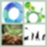 Level 51 Answer 15 - Circle Of Life