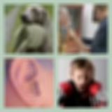 Level 53 Answer 1 - Bring The Noise