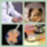 Level 55 Answer 14 - Heal The World