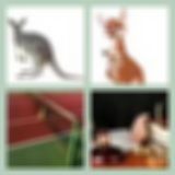 Level 57 Answer 2 - Kangaroo Court